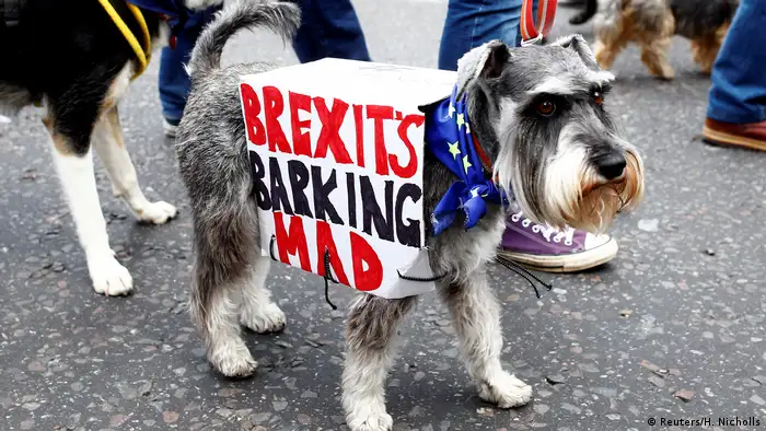 Hunde gegen Brexit (Reuters/H. Nicholls)