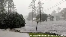 飓风“迈克尔”肆虐佛罗里达州