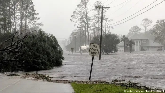 Überflutete Straßen und umgestürzte Bäume (Foto: picture-alliance/dpa/D.R. Clifford)