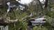 A tree lays on a home and car after Hurricane Michael hit the Florida Panhandle A tree lays on a home and car after Hurricane Michael hit the Florida Panhandle