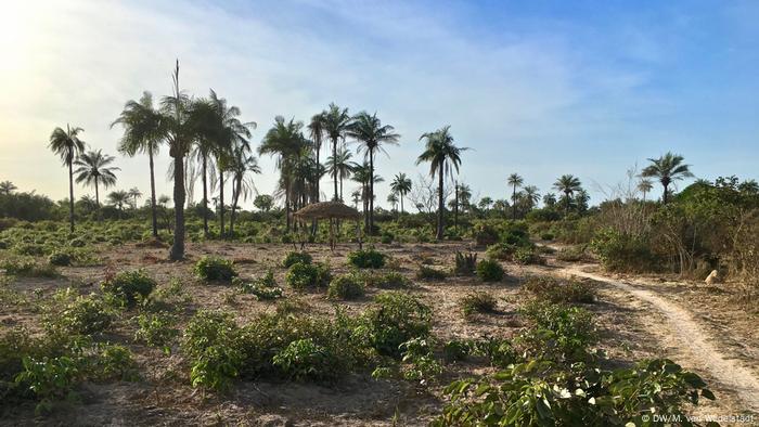 From Dakar To Casamance A Journey Through Senegal Dw Travel Dw 23 10 18