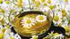 Kamillentee (picture-alliance/dpa/imageBROKER)