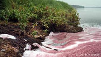 roter Fluss(Foto: Tom Felix Joehnk)