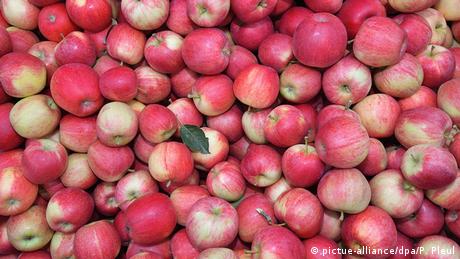 Всички знаем, че ябълките са много полезни. Всеки германец, например, изяжда средно по 17 килограма ябълки годишно. Ябълките са плод с ниско съдържание на калории, но с много антиоксиданти, които помагат на мозъка, сърцето, кожата и костите. Те намаляват и риска от диабет. 