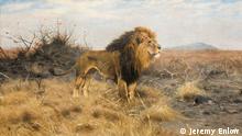 Wilhelm Kuhnert: Der Mann, der die Löwen in Afrika malte