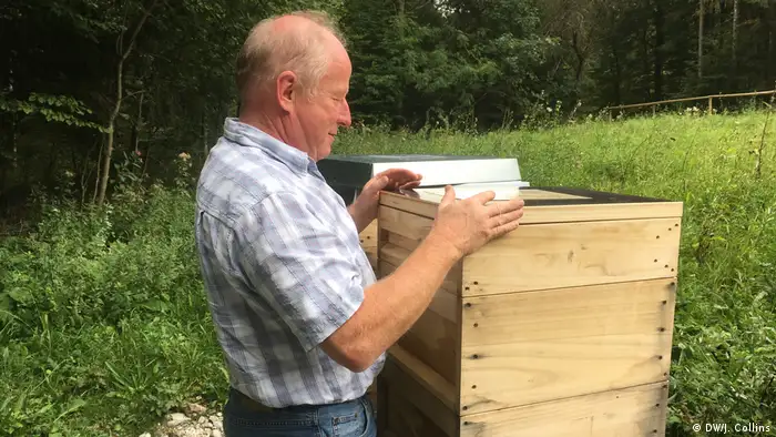 A man standing at a beehive