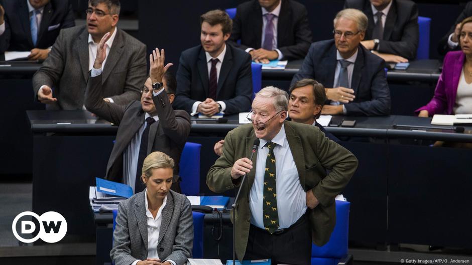 Die AfD Im Bundestag: ″Eine Gefahr Für Die Demokratie″ | Deutschland ...