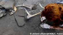 24.10.2018, Italien, Pompeji: Eine Archäologin bepinselt ein Skelett in der archäologischen Ausgrabungsstätte Pompeji bei Neapel. Archäologen haben hier erneut einen bedeutenden Fund gemacht: Es wurden Skelette und Knochenreste von fünf Menschen gefunden. (zu dpa Flucht vor der Asche: Skelette in Pompeji gefunden vom 25.10.2018) Foto: Ciro Fusco/ANSA/AP/dpa +++ dpa-Bildfunk +++ |
