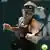 Singapur WTA Tennis Angelique Kerber vs Sloane Stephens