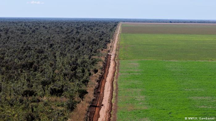 Aerial view of an unpaved road dividing a soy monoculture from the native Brazilian Cerrado