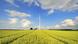 Windkraftanlagen mit Weizenfeld bei Stetten im Hegau, Landkreis Konstanz, Baden-Württemberg Windkraftanlagen mit Weizenfeld bei Stetten im Hegau, Landkreis Konstanz, Baden-Württemberg
