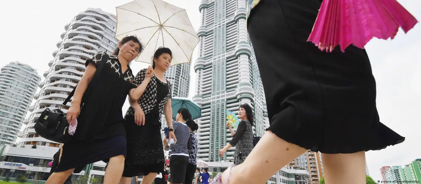 Katta rejali katta mushuk