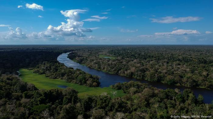 Amazon Rainforest of Brazil