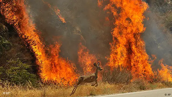 Waldbrand in Kalifornia Flash-Galerie