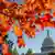 USA, Washington: U.S. Capitol zwischen Herbstblättern