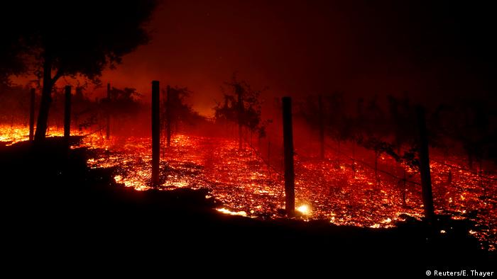 Ein brennender Weinberg in der Nähe von Thousand Oaks (Foto: Reuters/E. Thayer)