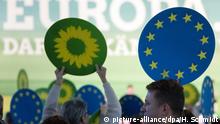 Список зеленых на выборах в Европарламент возглавят два кандидата