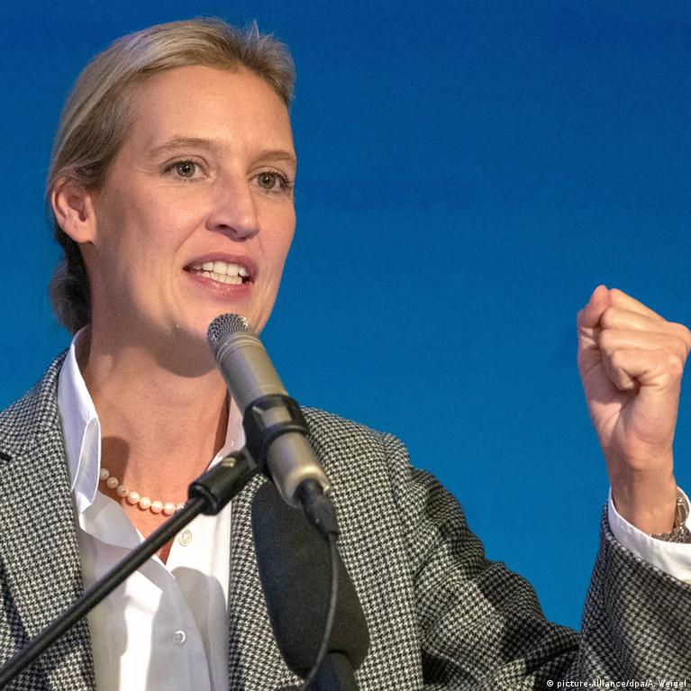 AfD head under fire for Swiss donations