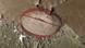 The 31-kilometer area of the impact crater The 31-kilometer area of the impact crater