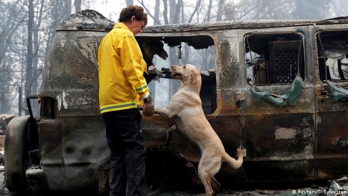 Спасатель с собакой на пепелище в Калифорнии