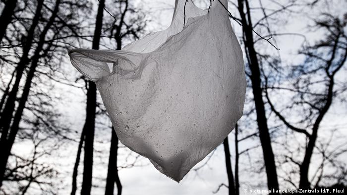 Plastic bag on a tree