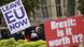 Brexit protesters in London Brexit protesters in London