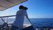 Gran Canaria Wal- und Delfinbeobachtungstour Gran Canaria Wal- und Delfinbeobachtungstour