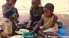 Mais de 113 milhões de pessoas sofrem de insegurança alimentar aguda no mundo