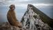Gibraltar - Affen Gibraltar - Affen