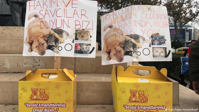 Türkei Istanbul - Proteste gegen geplanten Gesetztesentwurf zum Thema Tierschutz (Can Peter)
