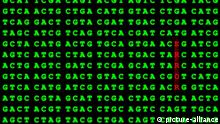 Symbolbild DNA-Fehler | symbol picture DNA error | Verwendung weltweit