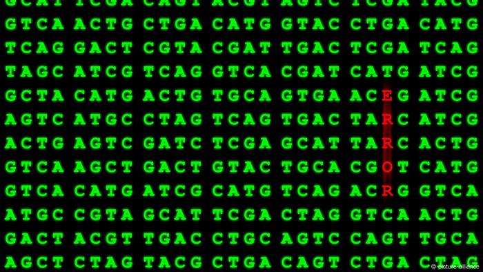 Symbolbild DNA-Fehler (picture-alliance)