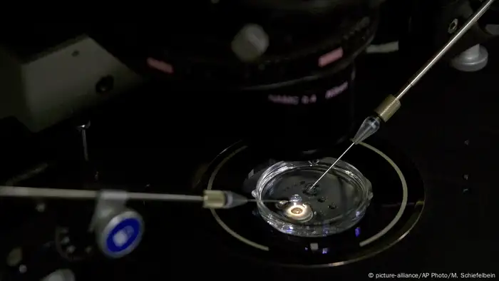 China Shenzhen - Embryo, Cas9 Protein und sgRNA unter Mikroskop