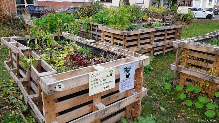 Urbane Garten der StadtFrüchtchen in Bonn