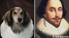 DW Sendung Euromaxx
Dan Bannino, Titel: poetic dogs - William Shakespeare. 