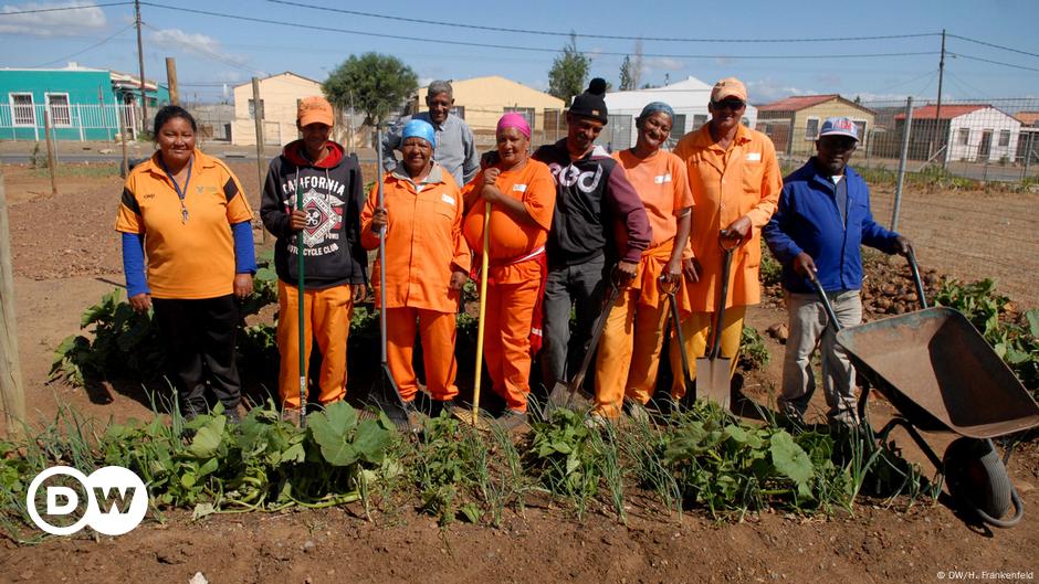 Fighting Food Waste In South Africa – DW – 07/05/2019