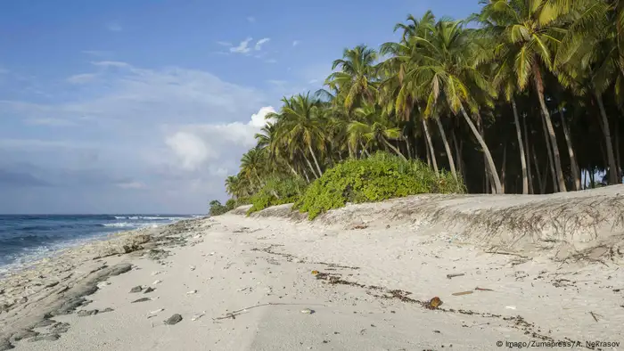 Palmenstrand auf dem Fuvahmulah-Atoll der Malediven (Foto: Imago/Zumapress/A. Nekrasov