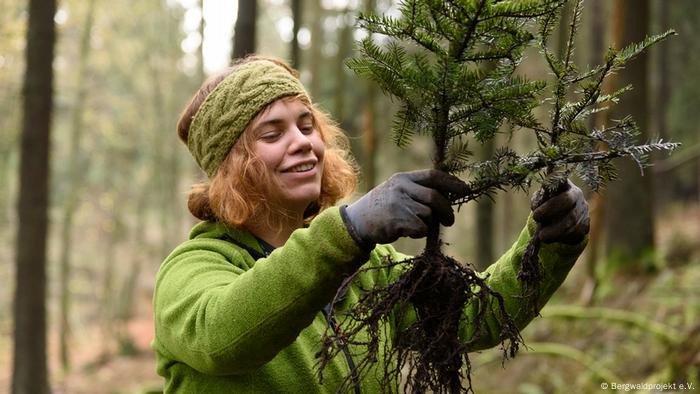 weihnachtsbaum-der-zukunft-ein-kologischer-kompromiss-dw-deutsch-lernen