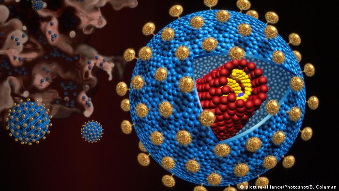 Illustration of the HIV Virus
