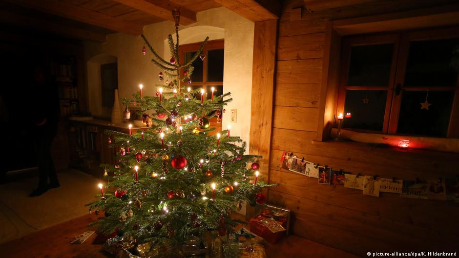 Weihnachten Baume Fur Millionen Wirtschaft Dw 18 12 2019