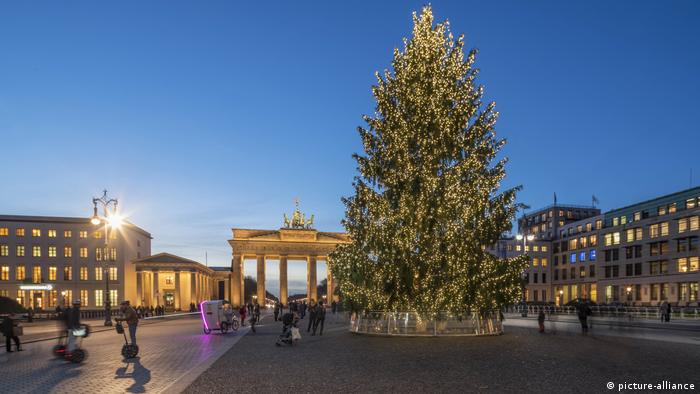 Weihnachtsbaum am Brandenburger Tor, Berlin (picture-alliance)