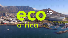 DW Eco Africa (Sendungslogo englisch)