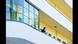 365 Tage Bauhaus 365 Tage Bauhaus