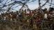 Refugiados rohinyá en la frontera con Birmania. Refugiados rohinyá en la frontera con Birmania.