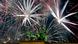 Deutschland | Silvester – Berlin (neu) Deutschland | Silvester – Berlin (neu)