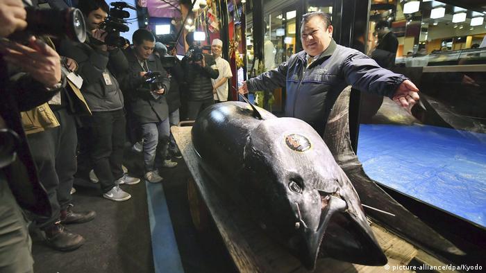 Tuna auction (picture-alliance/dpa/Kyodo)