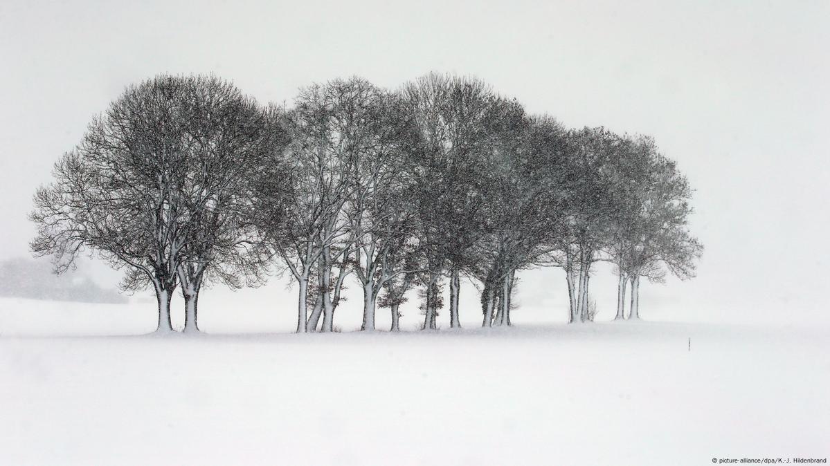 Deadly snowfall wreaks havoc across Europe – DW – 01/07/2019