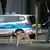 Do wykrywania ładunków wybuchowych policja użyła psów