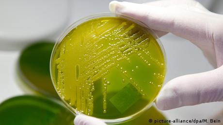 От тях се страхуват всички болници бактерии на които