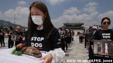 ARCHIV Juli 2018 *** Activists from animal rights groups 'Animal Liberation Wave' and 'Last Chance for Animals' hold dead puppies retrieved from a dog meat farm, as they protest against the dog meat trade in Gwanghwamun Plaza in central Seoul on July 17, 2018. (Photo by Ed JONES / AFP) (Photo credit should read ED JONES/AFP/Getty Images)
